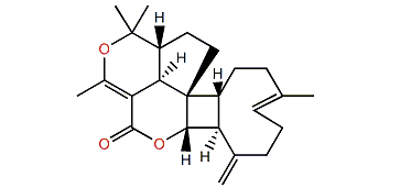 Antheliolide A